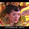铁树开花生肖排第几个
